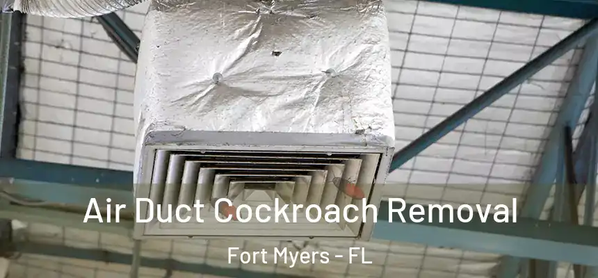 Air Duct Cockroach Removal Fort Myers - FL