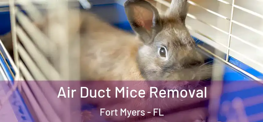 Air Duct Mice Removal Fort Myers - FL