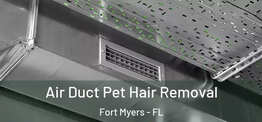 Air Duct Pet Hair Removal Fort Myers - FL