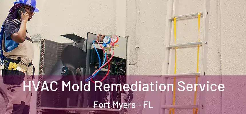 HVAC Mold Remediation Service Fort Myers - FL