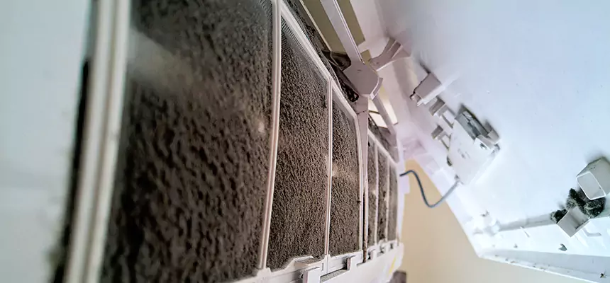 Preventive Air Duct Bacteria Removal in Fort Myers