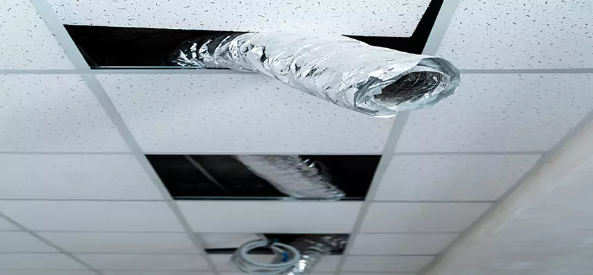 Affordable HVAC Sanitizing After Pest Removal in Fort Myers