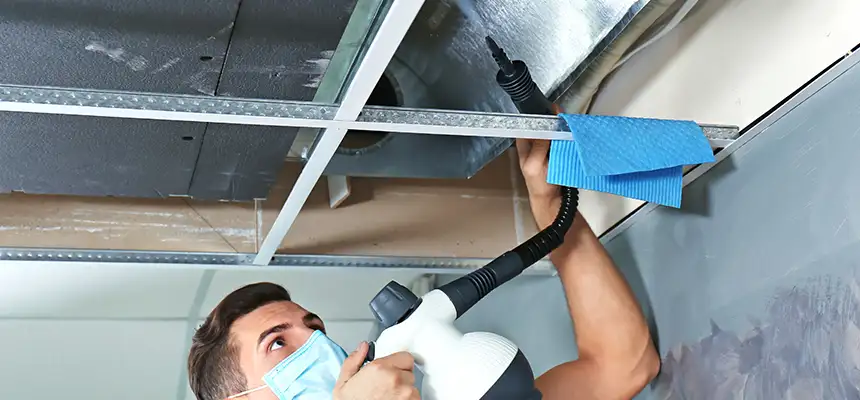 Our Air Duct Rodent Removal Services in Fort Myers, FL