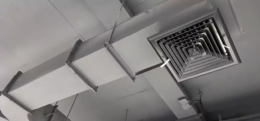 Restorative Allergy Relief Vent Cleaning – Coil, Blower & Housing Detail in Fort Myers