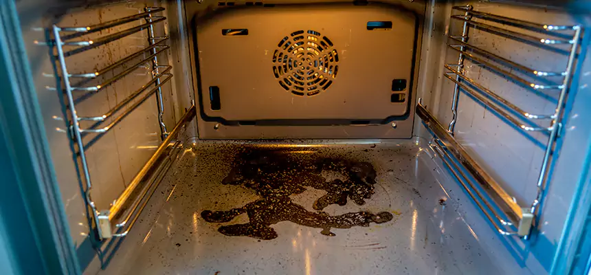Our Dryer Vent Mold Cleaning Services in Fort Myers, FL