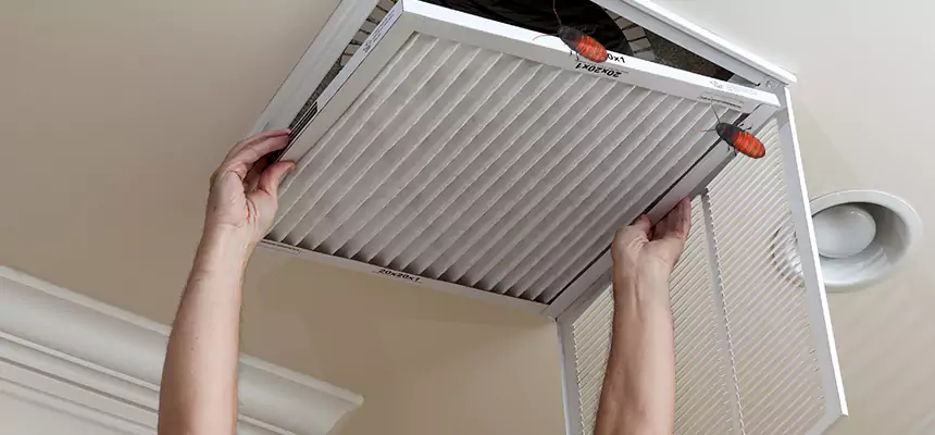Our Insect Removal from Air Ducts Services in Fort Myers, FL