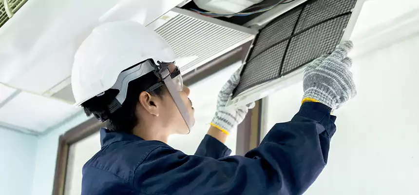 Our Mold & Mildew Removal from Air Ducts Services in Fort Myers, FL