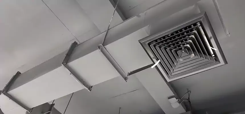 Our Pest Removal From Ducts Services in Fort Myers, FL