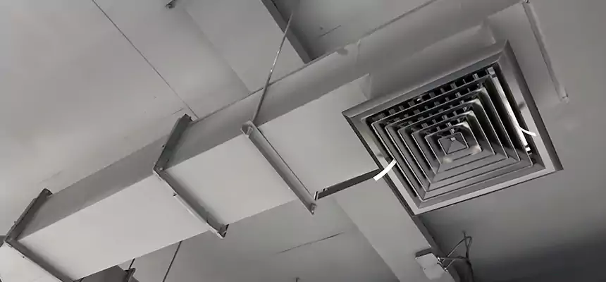 Our Rodent Droppings In Vents Services in Fort Myers, FL
