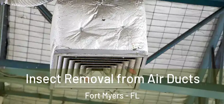 Insect Removal from Air Ducts Fort Myers - FL
