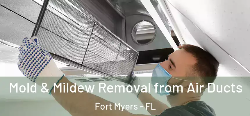 Mold & Mildew Removal from Air Ducts Fort Myers - FL