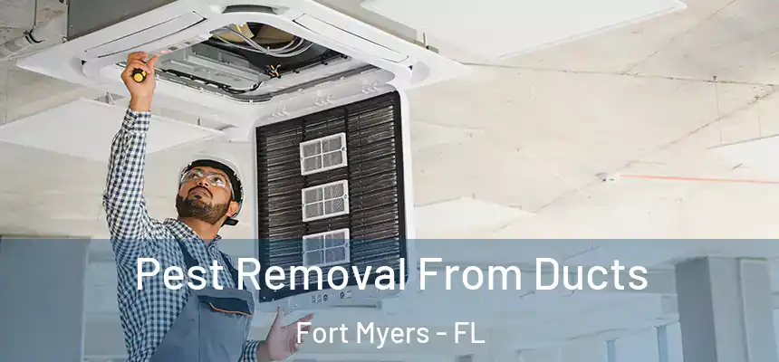Pest Removal From Ducts Fort Myers - FL