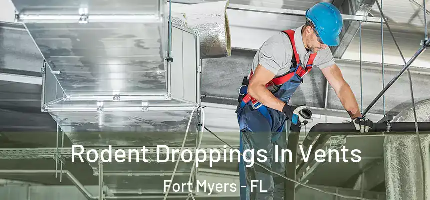 Rodent Droppings In Vents Fort Myers - FL
