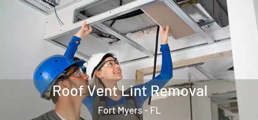 Roof Vent Lint Removal Fort Myers - FL