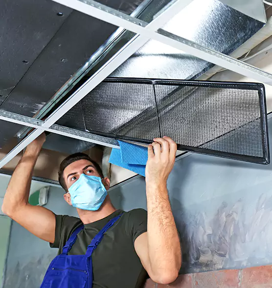 About Air Duct Bacteria Removal in Fort Myers