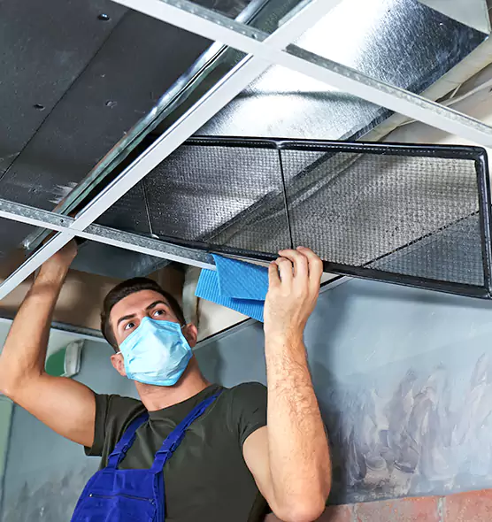 Professional Air Duct Pollen Cleaning in Fort Myers, FL