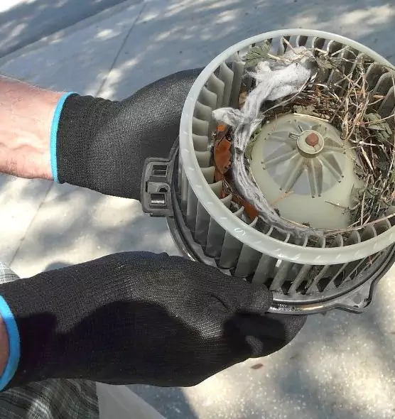 About Air Duct Rat Removal in Fort Myers, FL