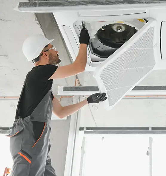 About Air Duct Rodent Removal in Fort Myers, FL