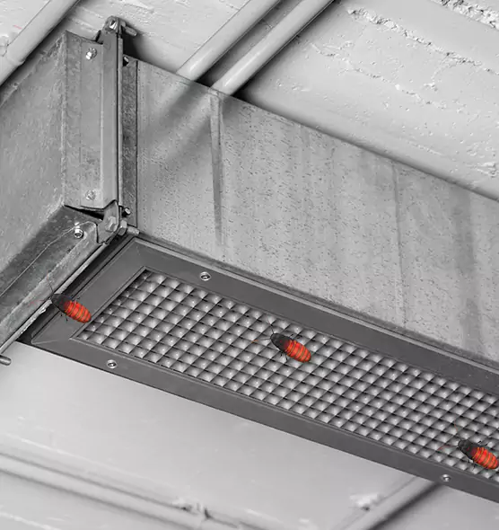 Affordable Insect Removal from Air Ducts in Fort Myers, FL