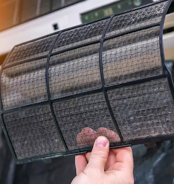 About Pet Dander Duct Cleaning in Fort Myers, FL